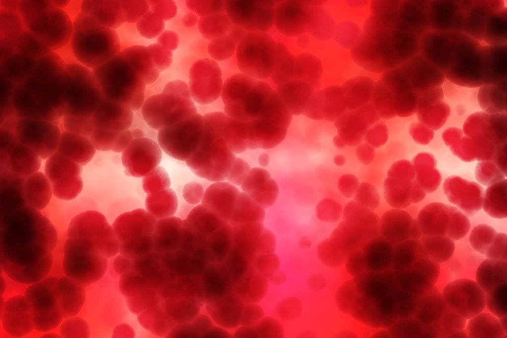 quem tem HPV pode doar sangue