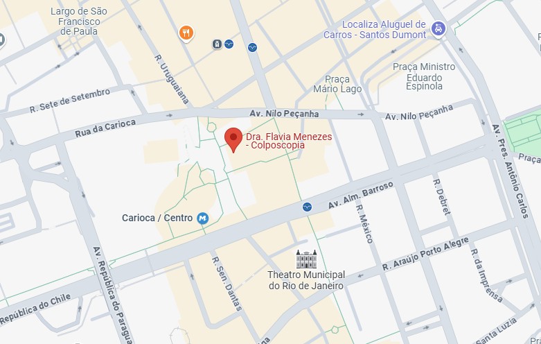 google maps flavia menezes